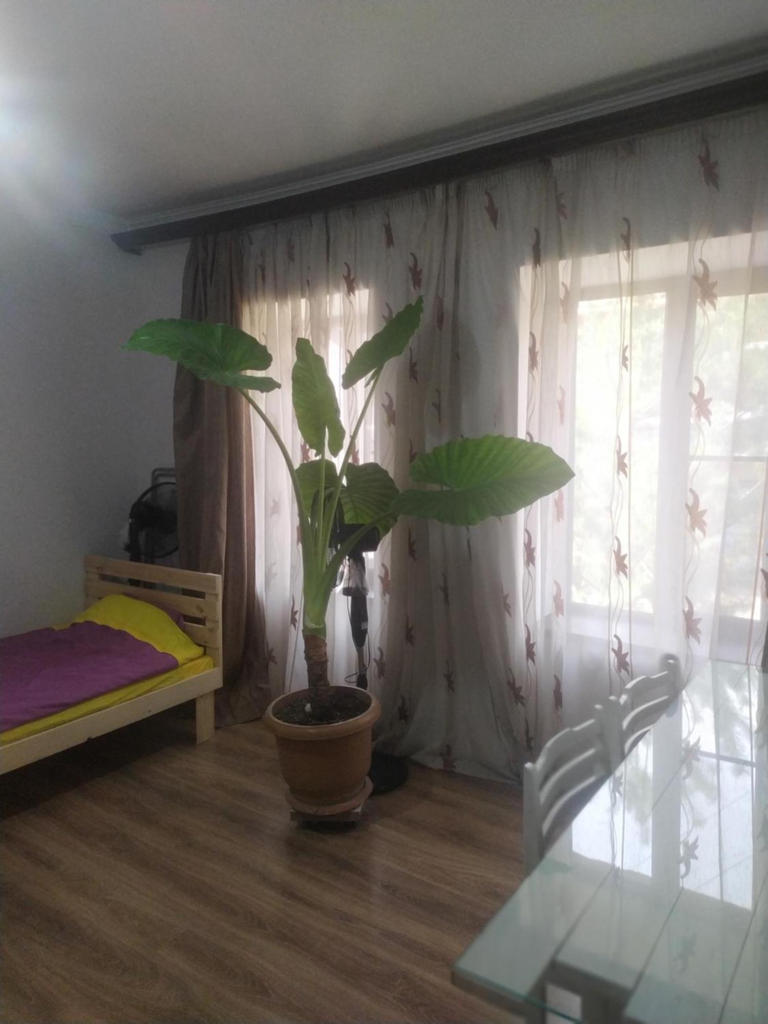 "Stairs"Guest House Ереван Екстериор снимка